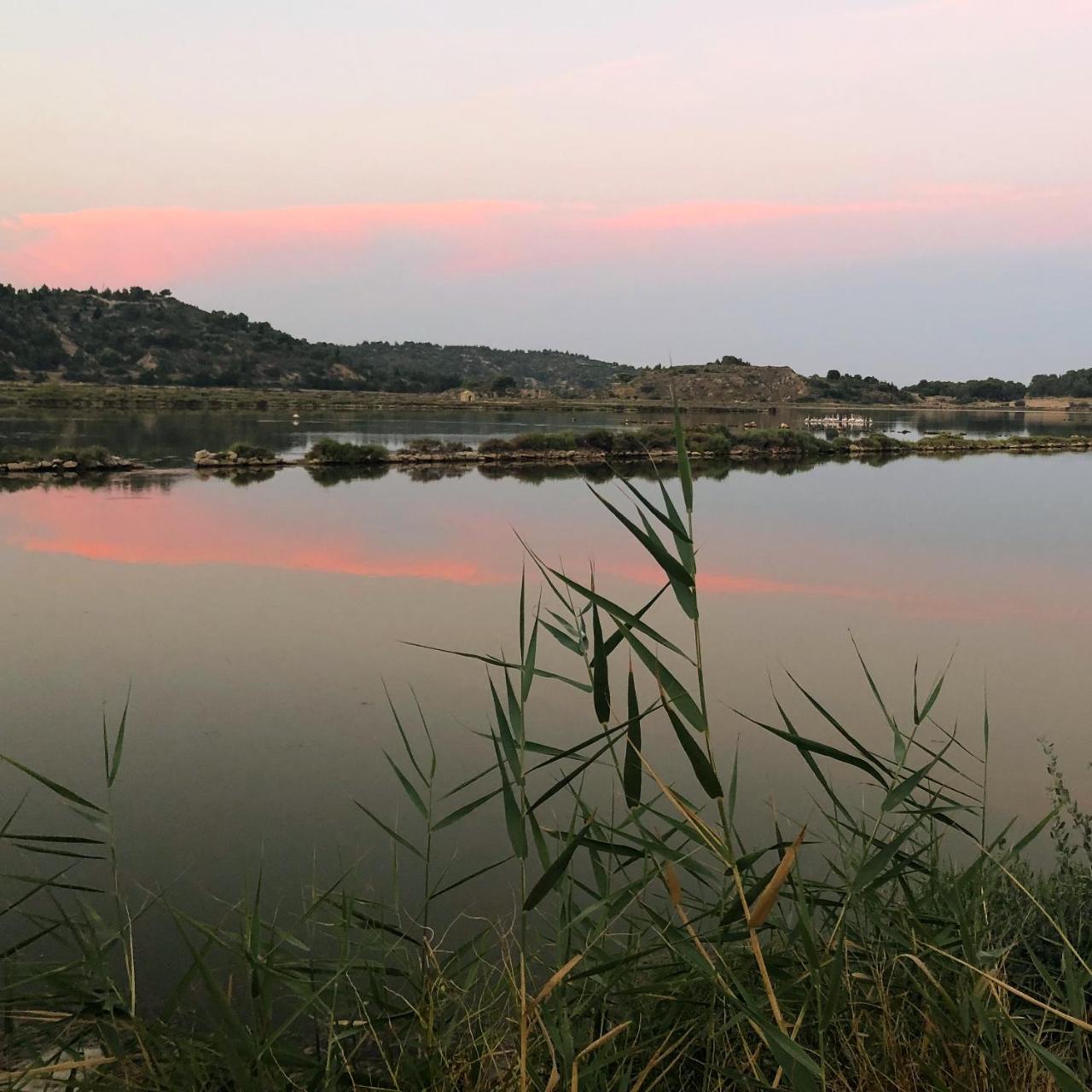 Le Flamant Rouge Guesthouse Peyriac-de-Mer Εξωτερικό φωτογραφία