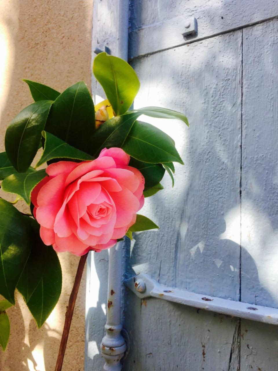 Le Flamant Rouge Guesthouse Peyriac-de-Mer Εξωτερικό φωτογραφία